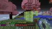 NEW! Minecraft - CraftBros Brawl Intense PVP Battle w/ mcsportzhawk