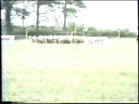 Championnat de France des chiens de berger (A. Pelle)