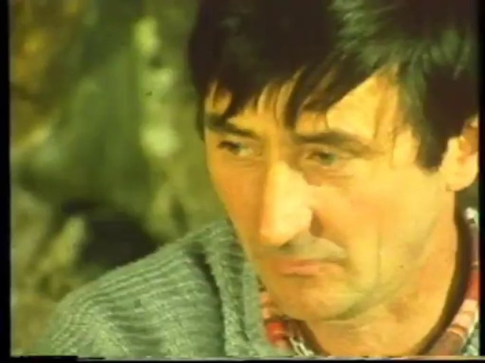 Toits de genets, toits de lauzes (Hervé Ozil)