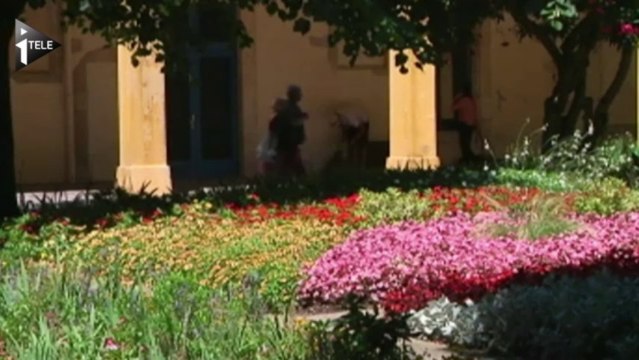 A Arles, les vacanciers se cultivent