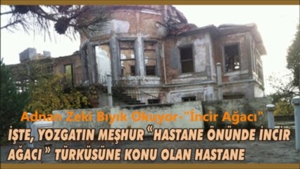 Hastane Önünde İncir Ağacı-Adnan Zeki Bıyık