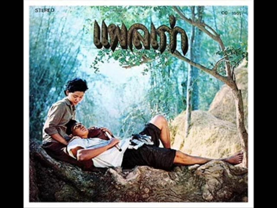 ลำนำแผลเก่า - ไพรวัลย์ ลูกเพชร - YouRepeat