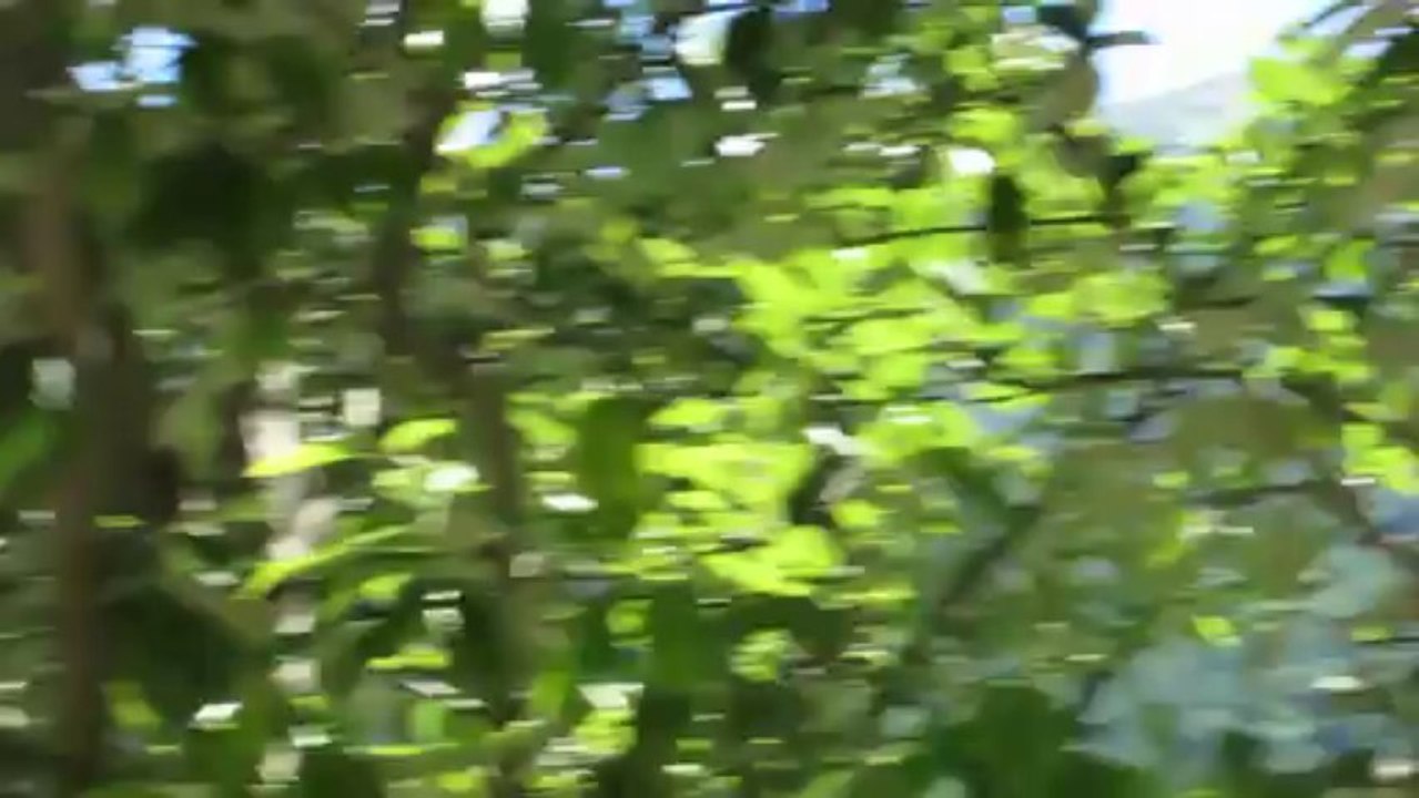 Hautes-Alpes : mort en parapente