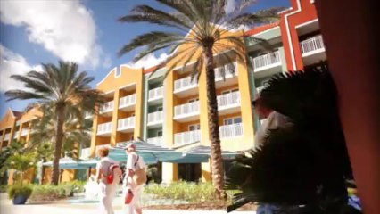 Curacao Shorts: Ch.1 - The Curacao Difference