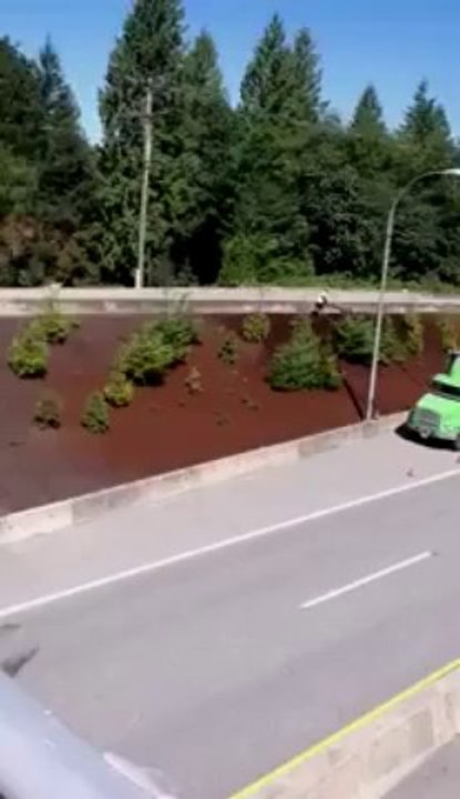 Bark Mulch Delivery Bark Mulch Blower