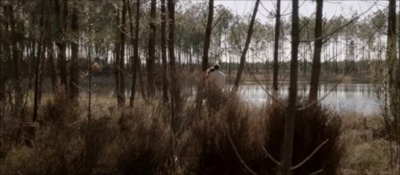 05 LANDES