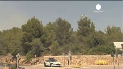 İspanya'da orman yangınıyla ilgili ilk gözaltı