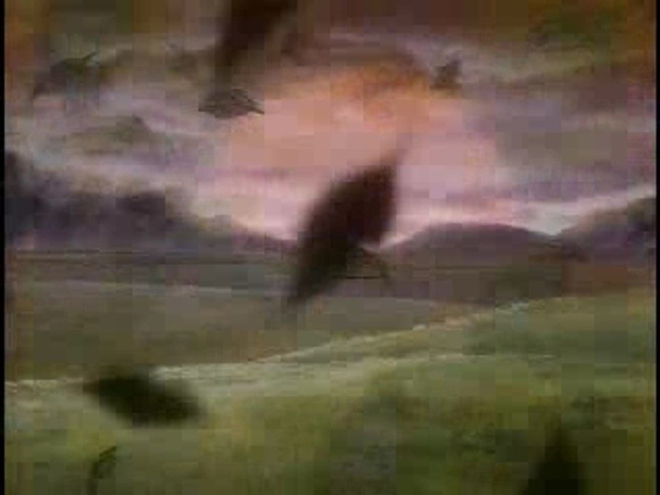 AMV Escaflowne - Blue Eyes