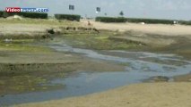 Strana schiuma nelle acque a Barletta ponente: il video con le foto