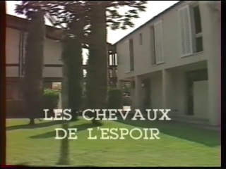 les chevaux de l'Espoir - institut des Parons - Aix en provence