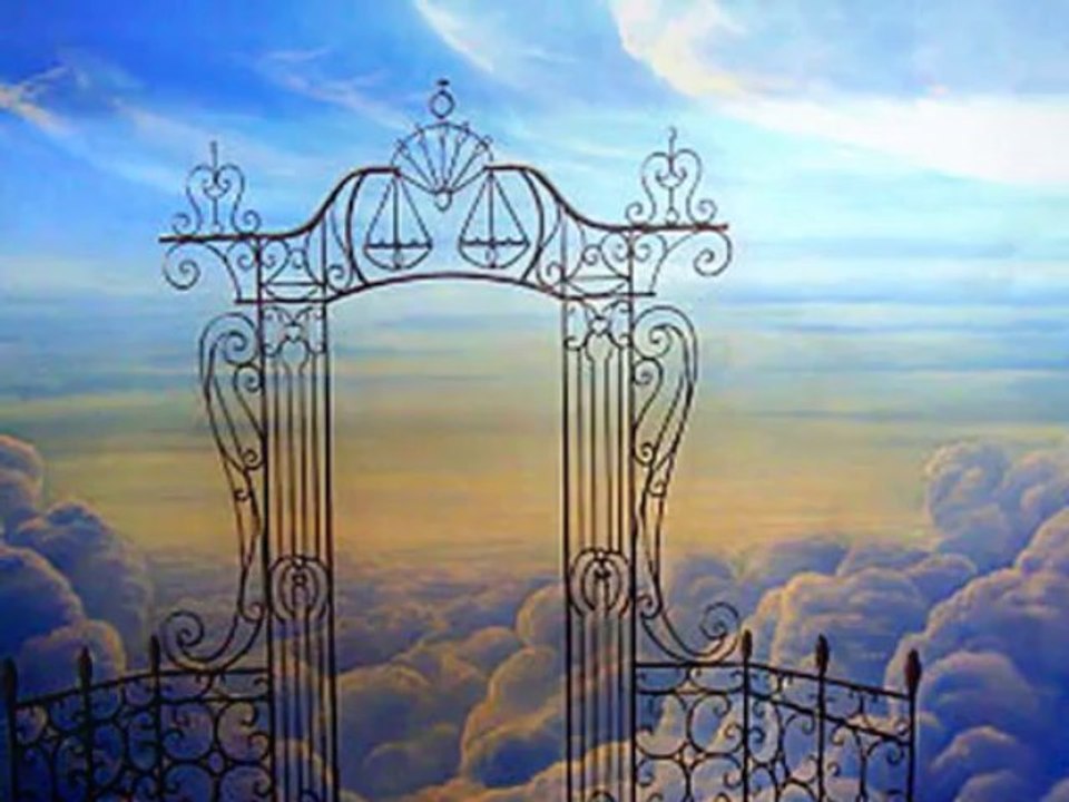 " Vole " de Céline Dion chanté par Serge Boudot