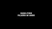 Shaka Ponk - Palabra Mi Amor cover by Pablo Delpedro