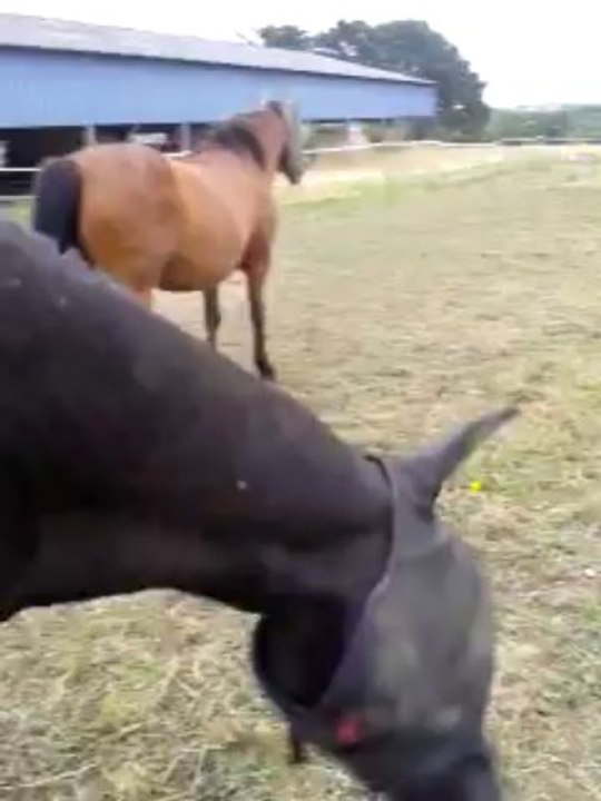 video-2013-07-30-18-57-42