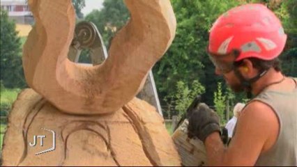 Rencontre de sculpteurs à la tronçonneuse (Foussais-Payré)