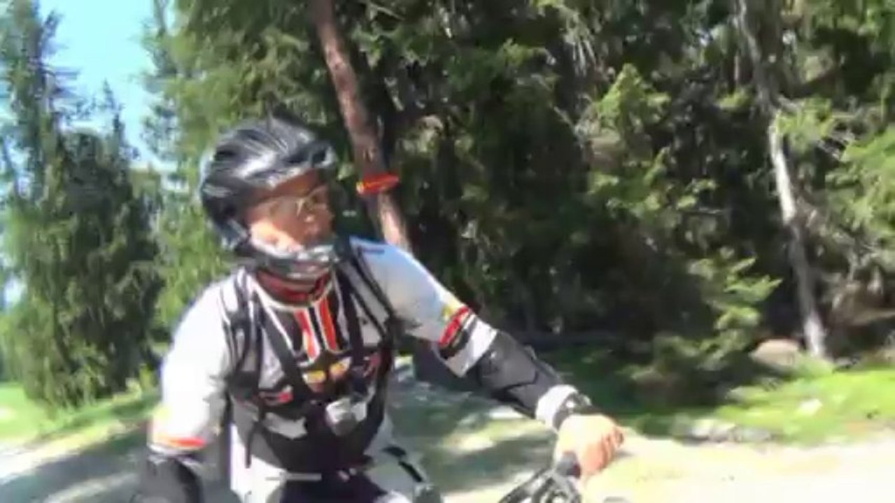 regisalias tortue ninja vtt