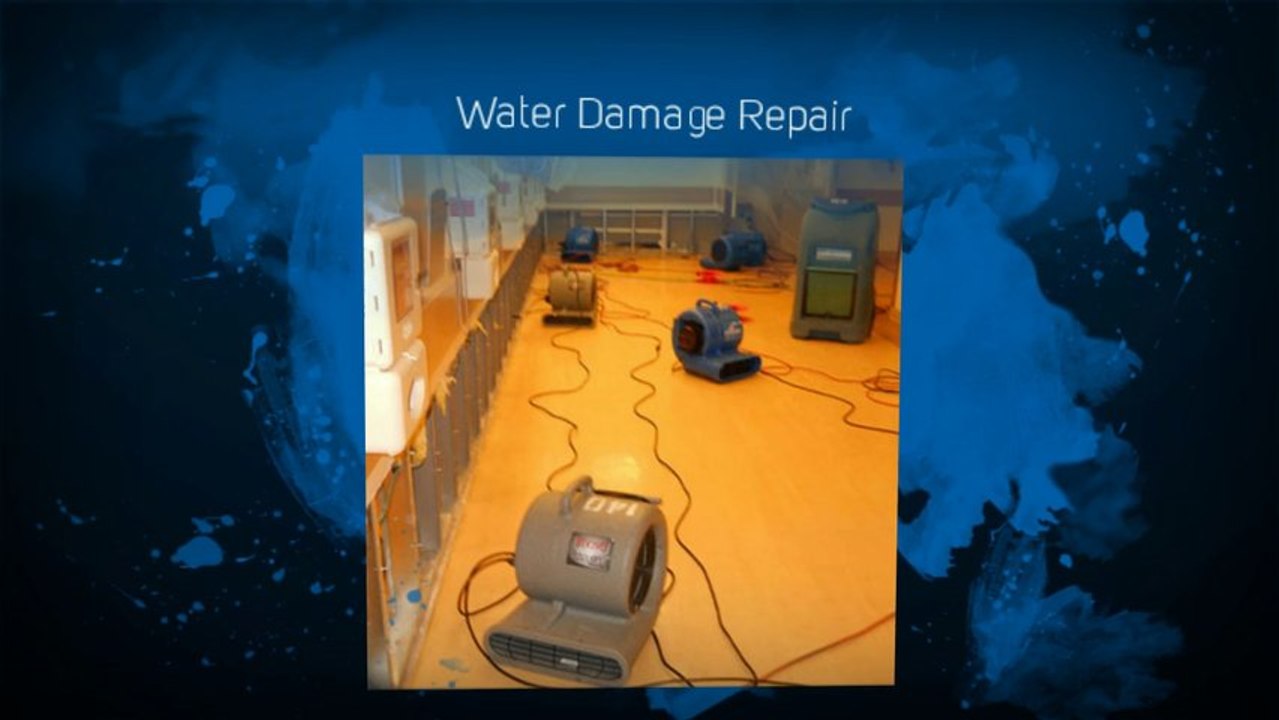 elitewaterdamage