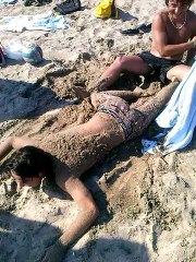 naissance d'une tortue très émouvant..