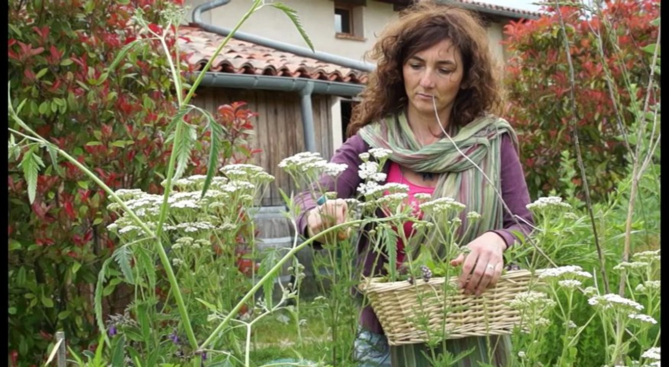 Les ateliers en herbe