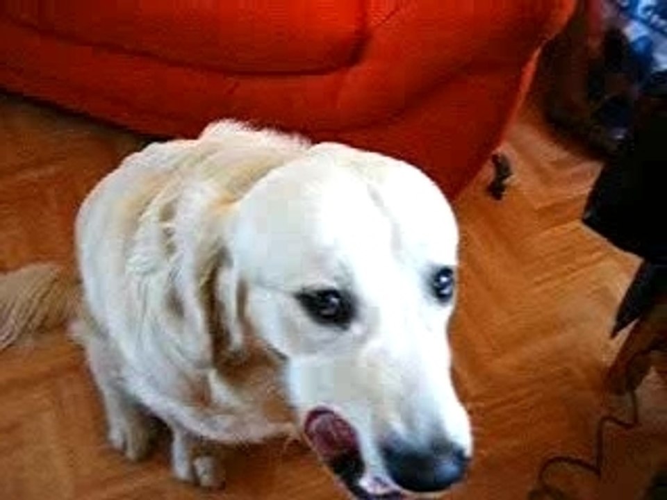 Oups!.....désolé.....