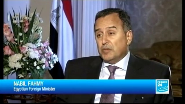 THE INTERVIEW - Nabil Fahmy, Egyptian Foreign Minister