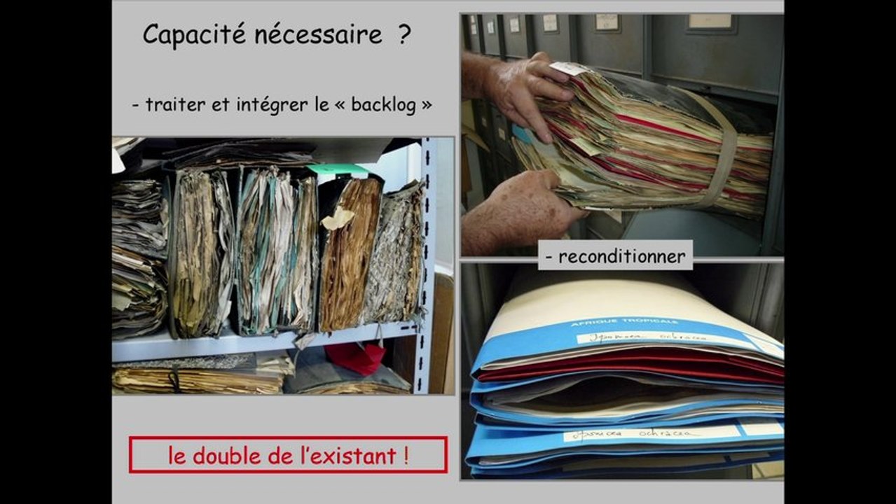 Le patrimoine, ça déménage ! - Renouveau de l'Herbier du Muséum : déménagement, reconditionnement et nouvelle installation dans le même bâtiment