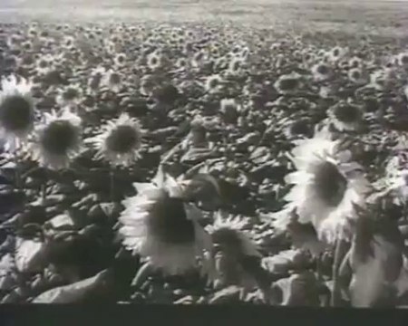 Управление качеством окружающей среды. Серия Экология. Фильм 4-й.