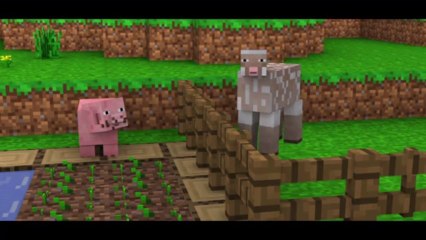 Classic Minecraft Days : Pig & Sheep