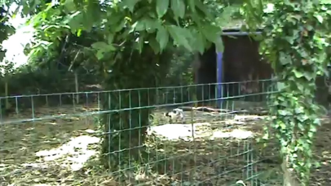 Bibi and co new home