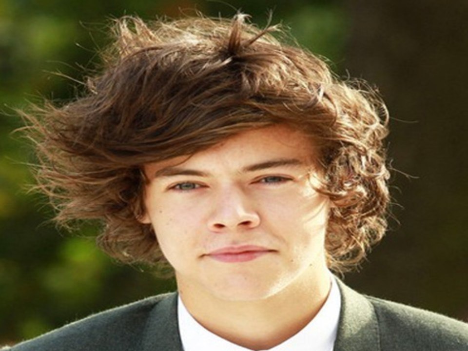 Harry Styles Doesnt Think He Bisexual