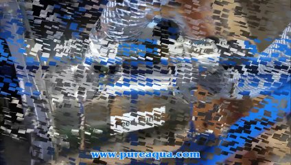 Pure Aqua| Patín VWRO Sistemas Montados Venezuela 5 x 7,500 GPD