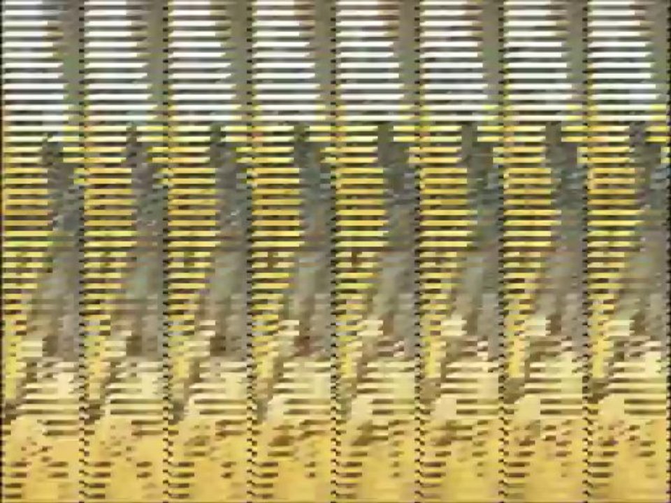 Collection of 1980`s Uk TV Commercials  Adverts Toys Food  Drink + More Vol 5