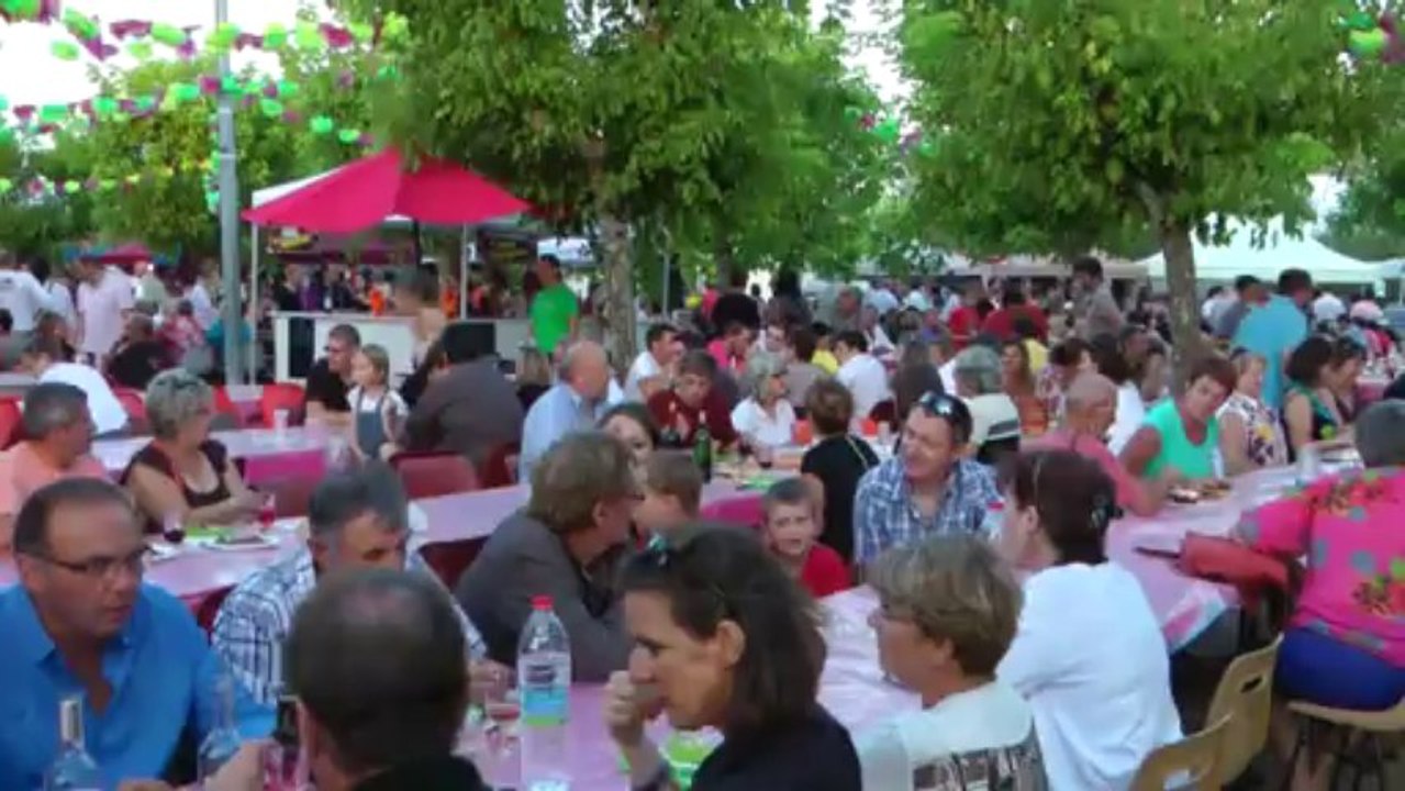 Festi Vino 2013