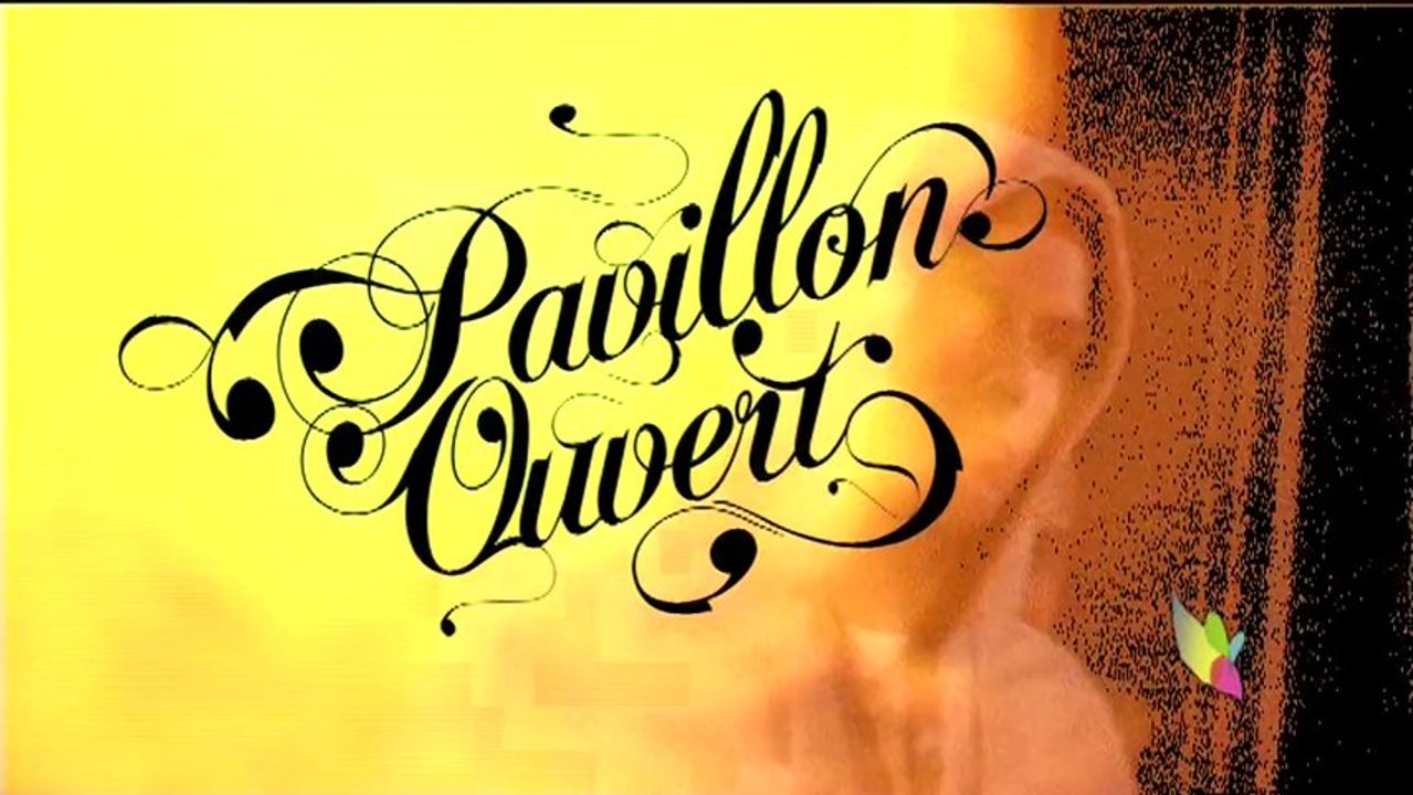 teaser_electro@pavillon_ouvert_by_trip*hotz