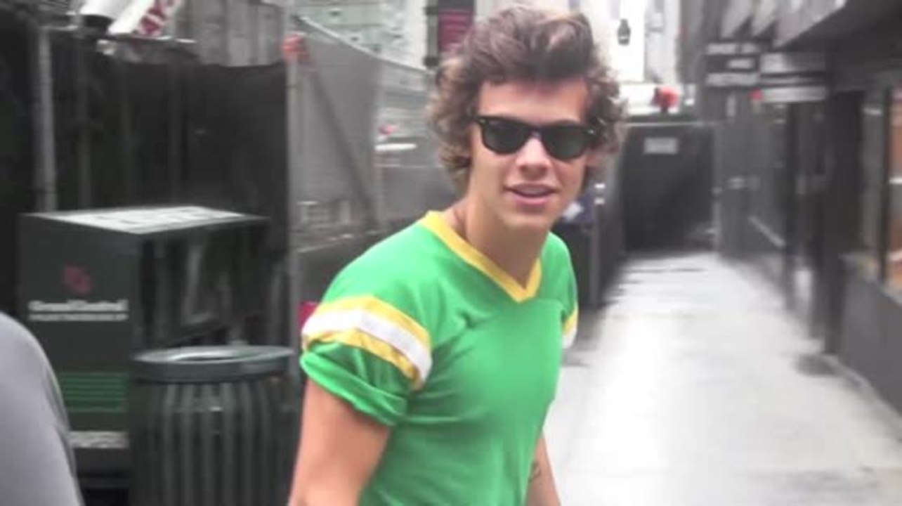 Harry Styles ist nicht bisexuell