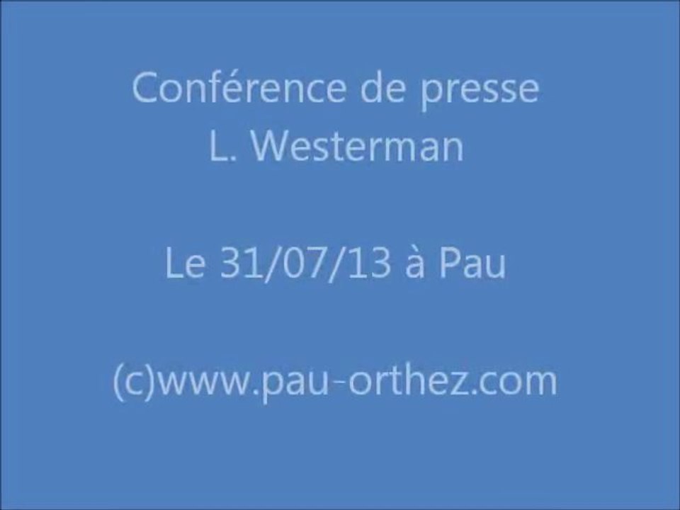 westerman 310713