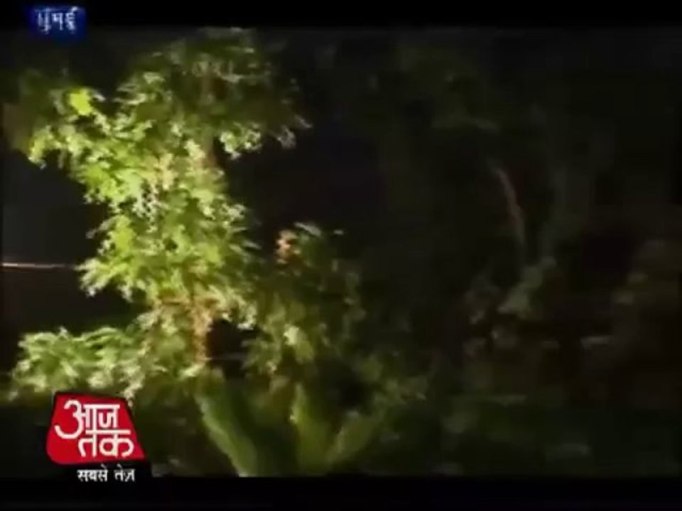 Must watch- Leopard enters Mumbai flat, carries...