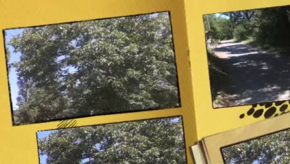 ANNONCE IMMOBILIER VENTE MAISON LOT- 46