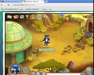 Animal Jam-Surf's up