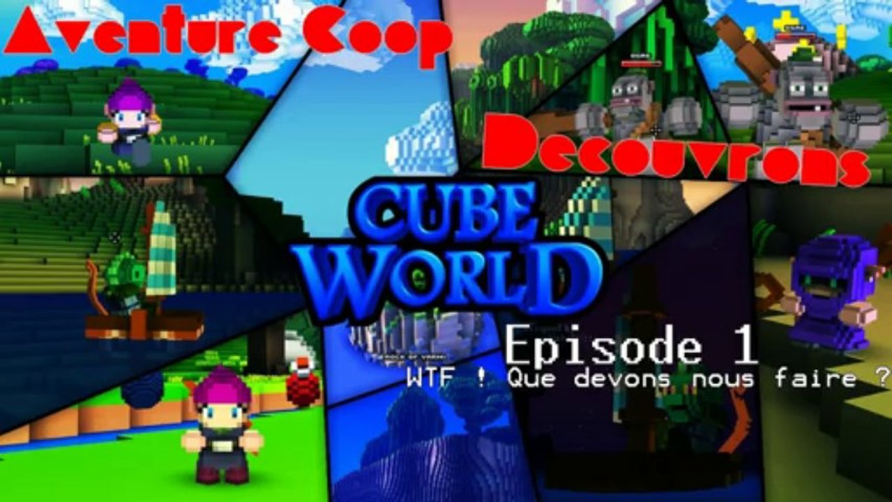 Aventure/Découverte Coop - Cube World #1/3