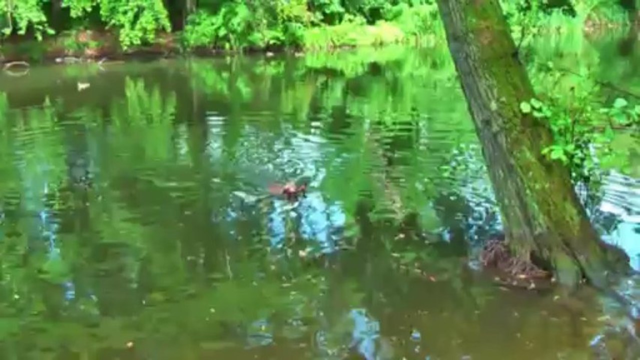 Biene und Lisa am Wasser