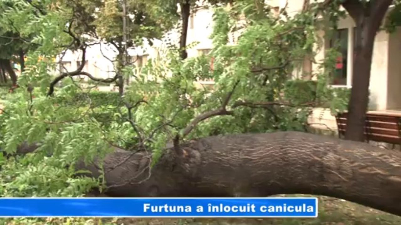 FURTUNA A INLOCUIT CANICULA