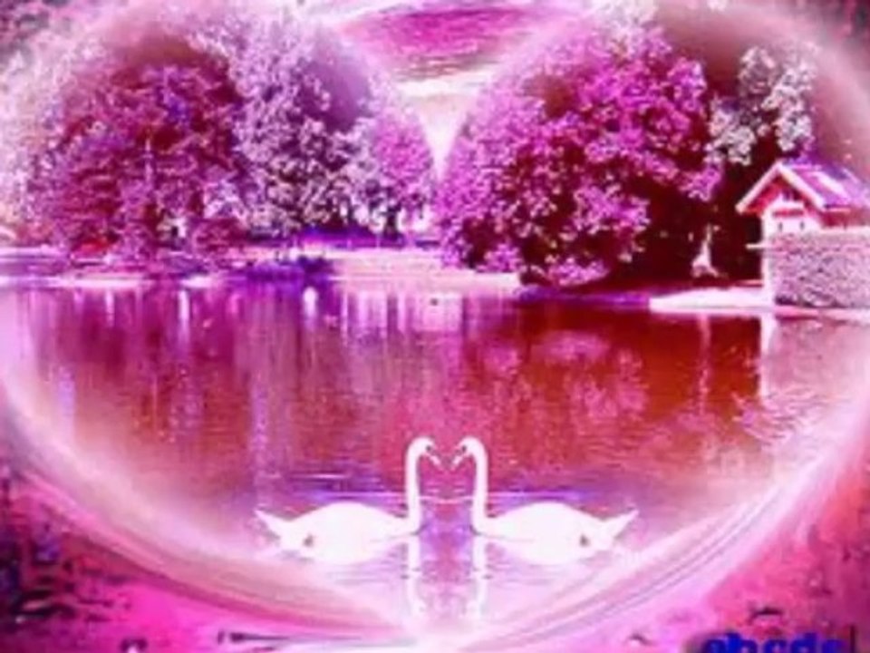 LA FABLE DES TOUJOURS
