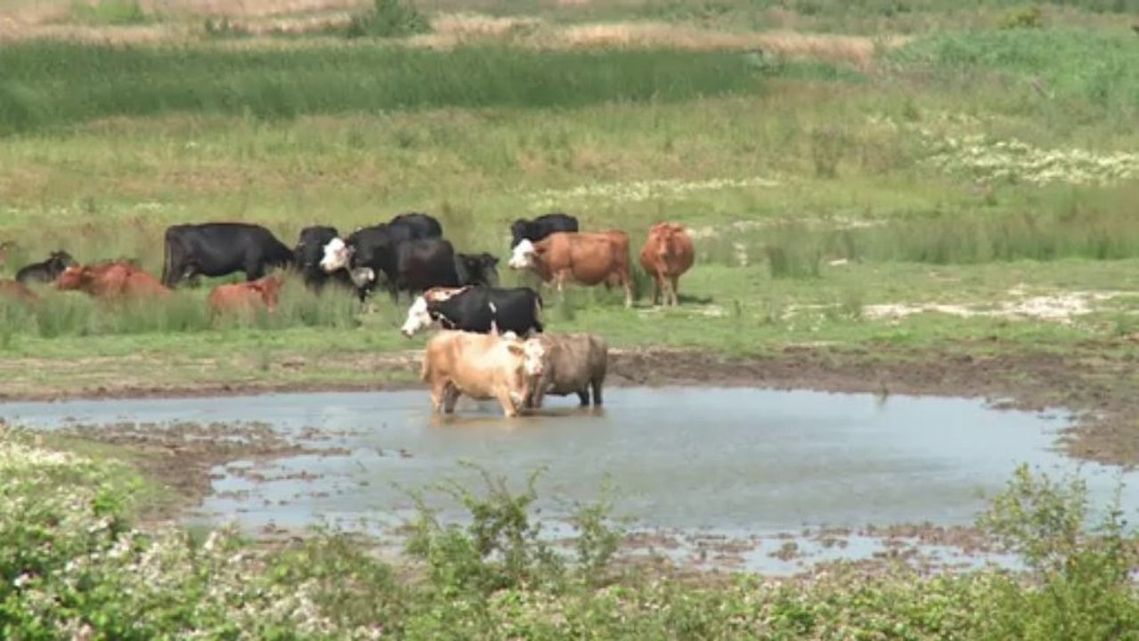 Schwimmender Flughafen für London?