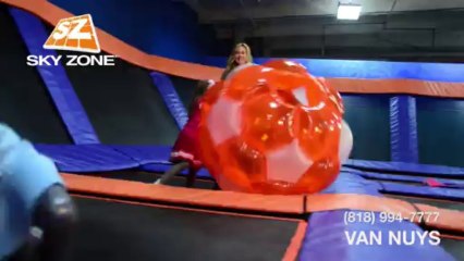 Frequent Flyer Van Nuys v6