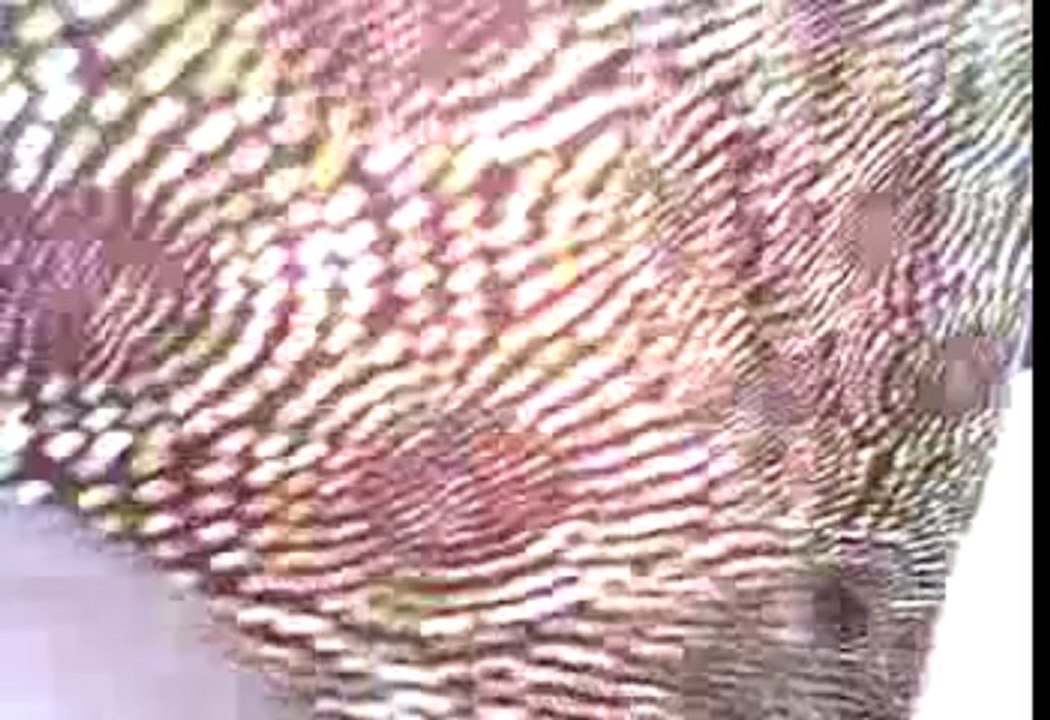 Brutal killing of Delsu graduate. Ify Gabriel Nwainokpor