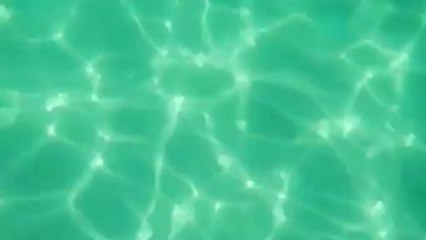 Underwater footage - Free HD stock footage