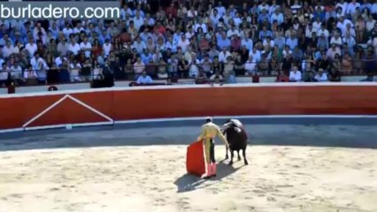 DISPOSICIÓN DE LA TERNA ANTE LA DE PALHA