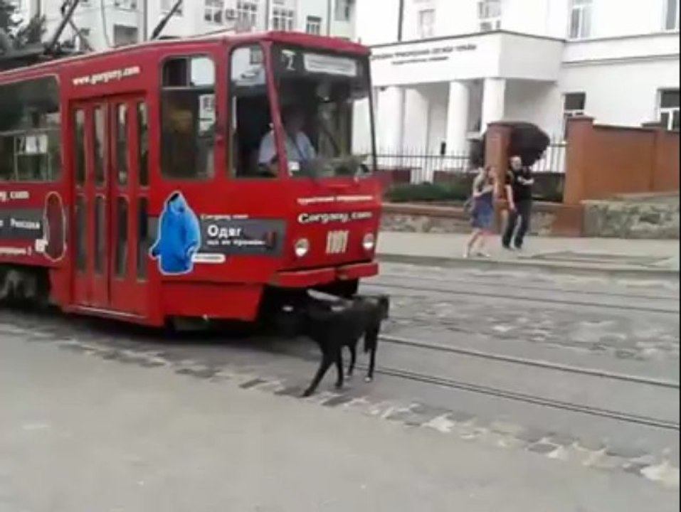 Yolu Satın Almışsa Demekki -_-