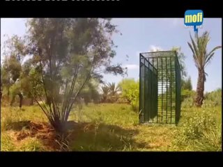 جار ومجرور ( كاميرا خفية ) برامج رمضان: حاتم إيدار