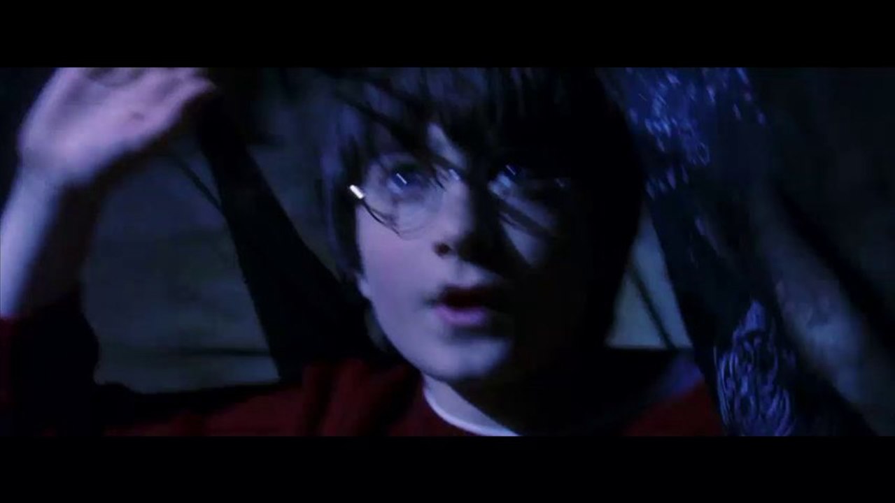 HARRY POTTER SCENCE 22-23
